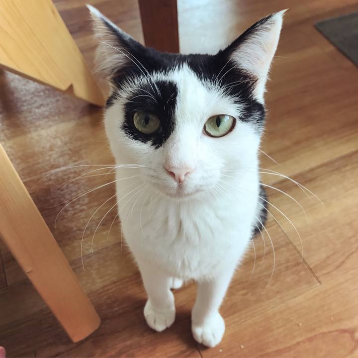 1558d7fa b76c 43f3 be80 4e637fd1c85c