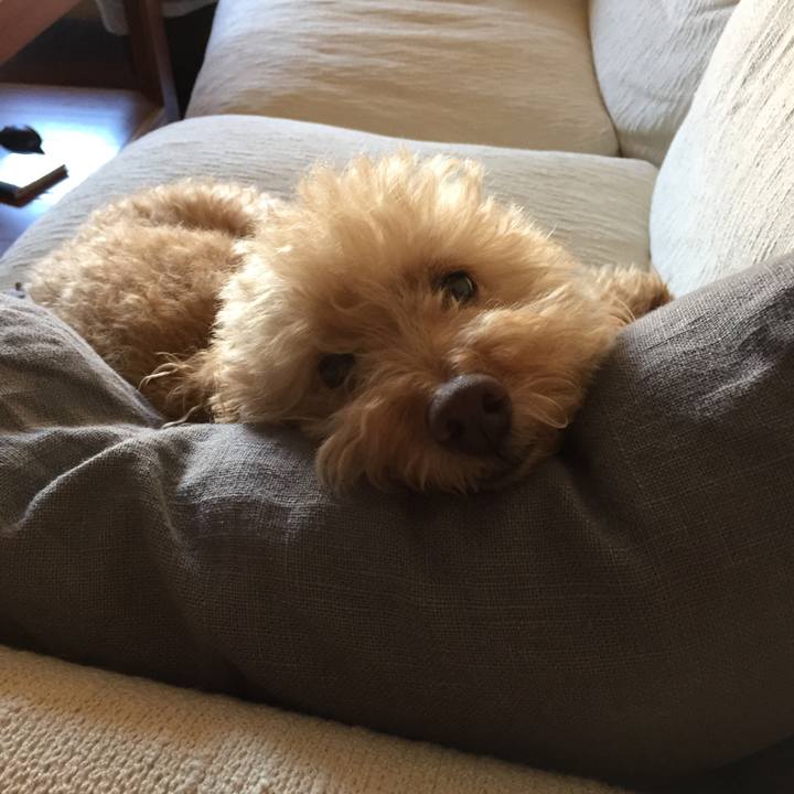 15591056 72d6 4f01 bb72 1e731afb35a6