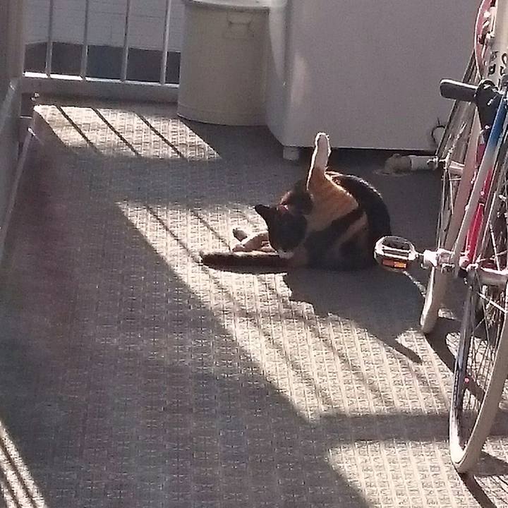 15594bbc 3465 48eb 9215 a7449b12f067