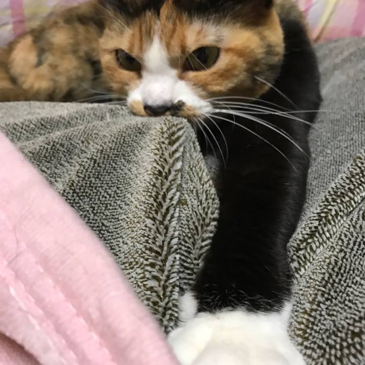 155975ec 8d73 4eb7 ab03 189f2838ede7