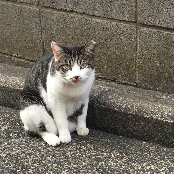 155a8d80 e1df 40fb 8741 8454d4d6d77c