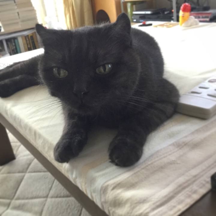 155b0cd4 65a7 4325 bf66 370aac0796e9