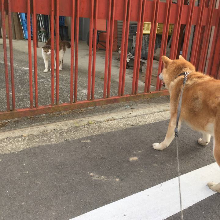 155b5459 6a7e 46e3 b5d3 00cc6c82bac6