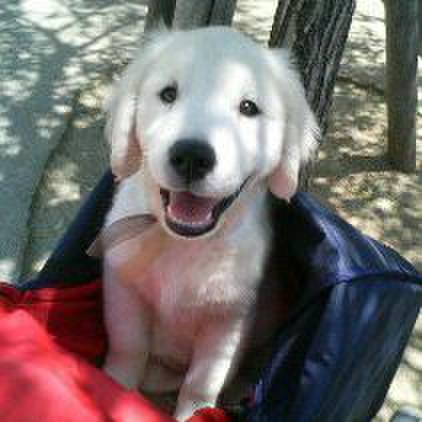 155b565c c121 4901 848d cacb4b3053fb