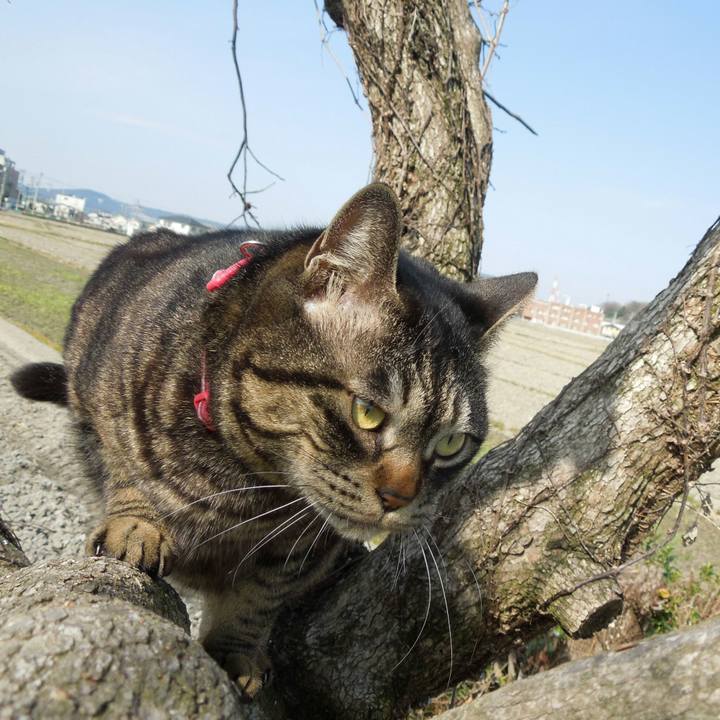 155bb13e 31de 4f01 823a b452f1e17f39