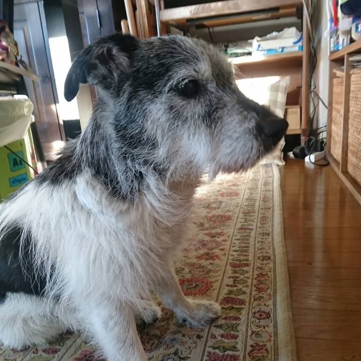 155bc621 4c8f 46a4 85ad fcc1ef4642d9