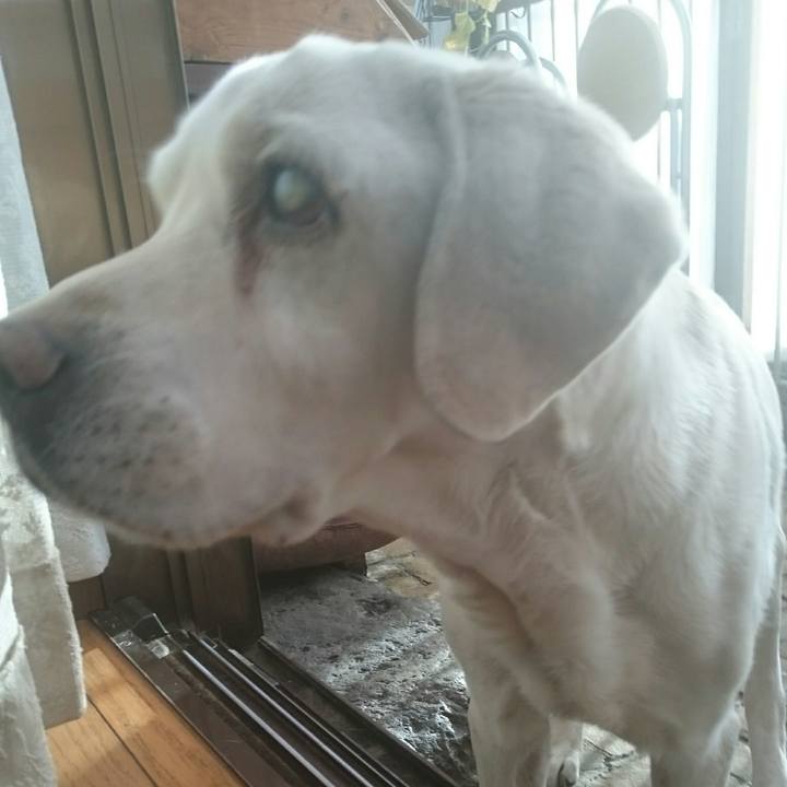 155c4ea8 b178 40bf 9817 2f58a0e15567