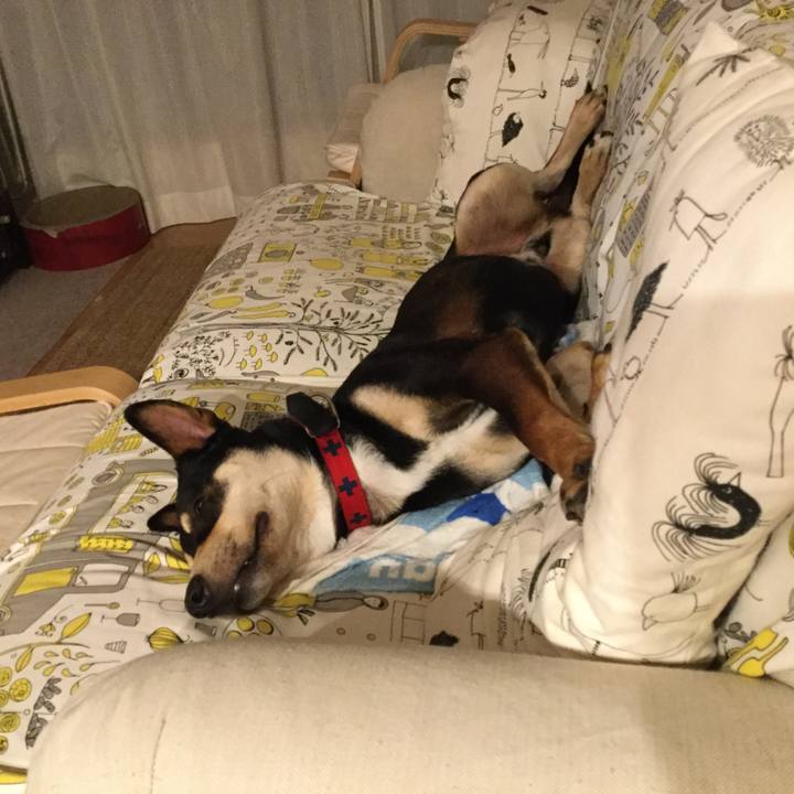 155c9a64 2b28 4a72 8dcd 9452492c7822