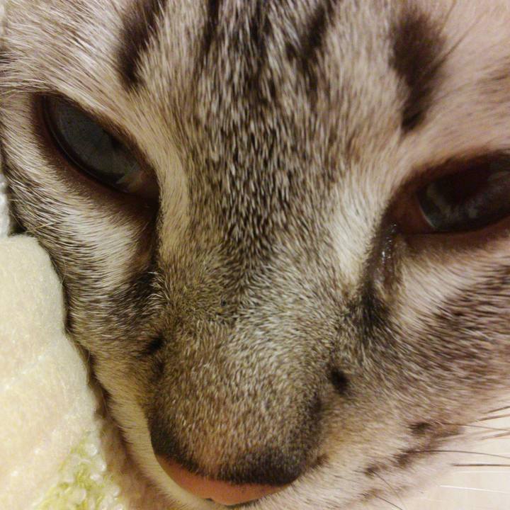 155cd71f b4f6 4e21 aeb8 d23cf1371967