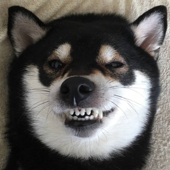 155cdf12 a591 48ca 994d e7b064db4d8a