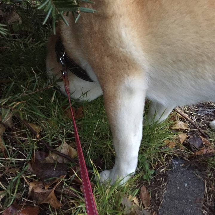 155cf4de 796d 49e4 be9c 8b08aaacc352