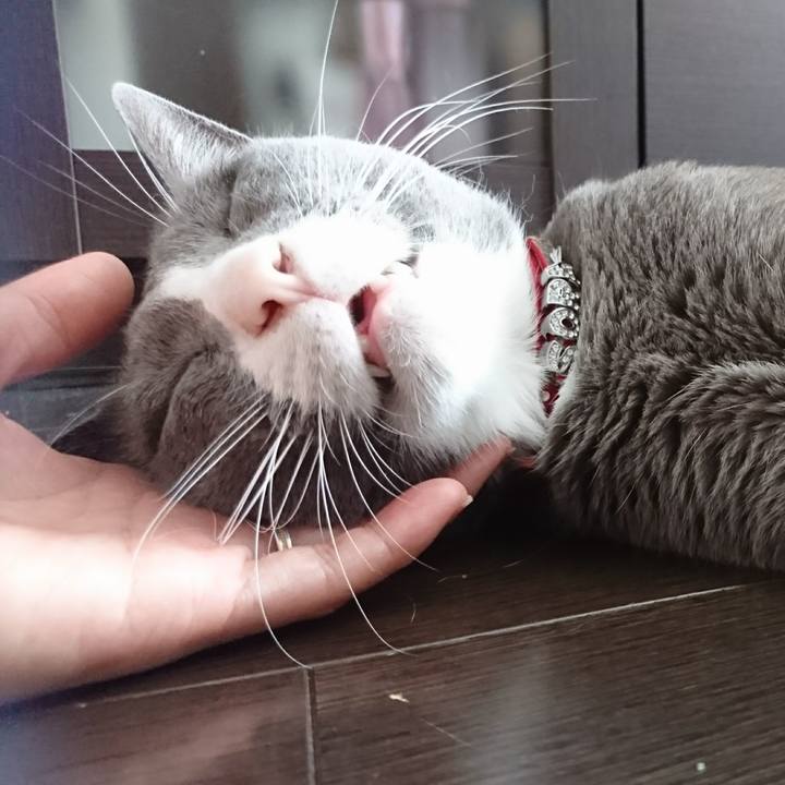 155d3e13 84c7 48c4 ae8c ba7259db00da