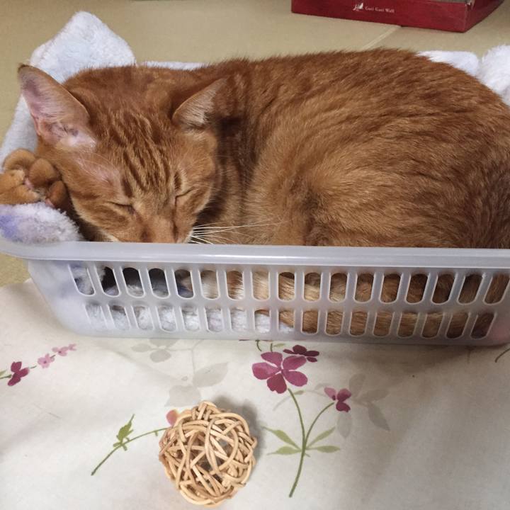 155dd31f 1c32 4ac4 918d caff61163a3a