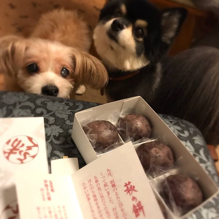 155ddfc2 7900 4769 8e1f 6804d13edf56