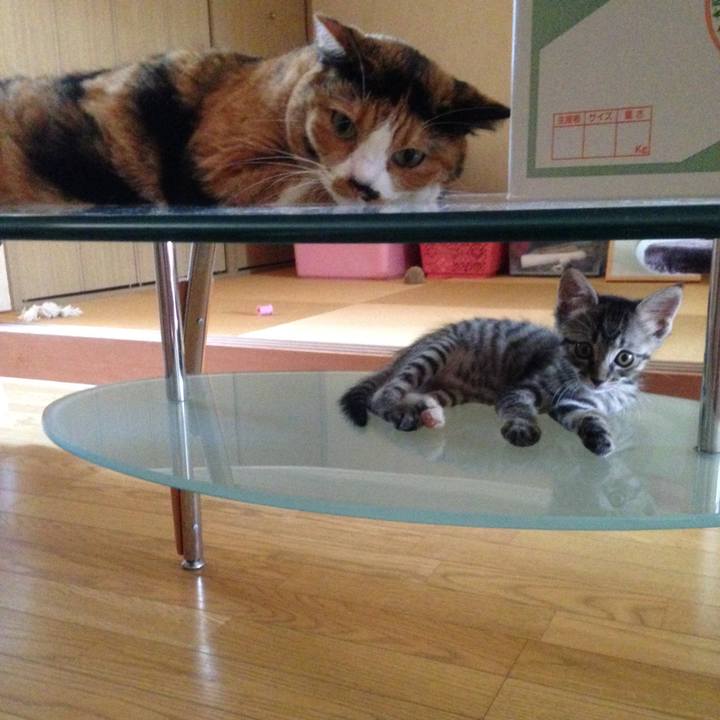 155dfc7d a51f 4aeb 9e3b f3128780c8b5