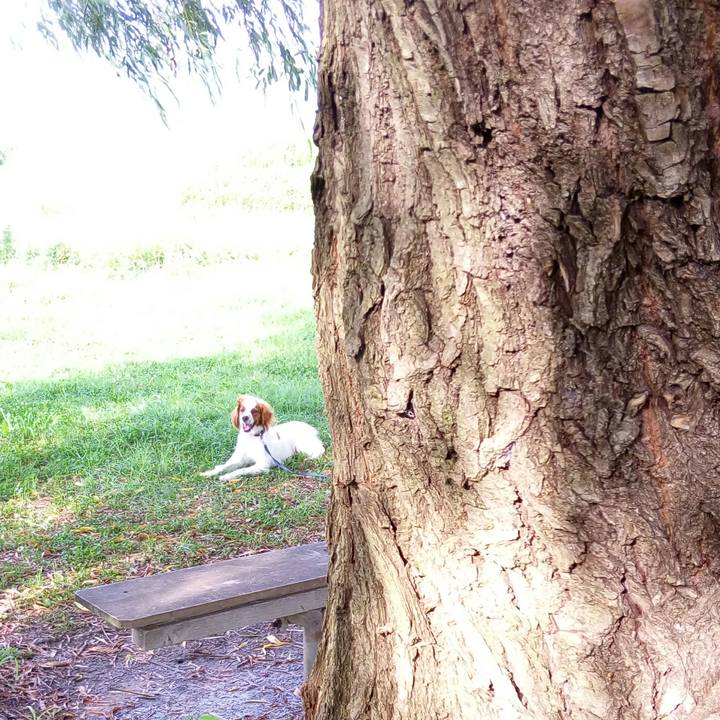 155f2181 e349 49bd 97ba 85ee0cfca213