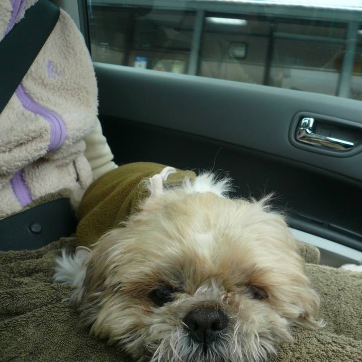 155f9269 6d98 4352 9476 0185c9bdaf60