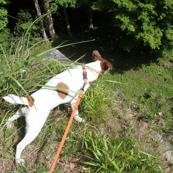 155fdff0 2cbc 4cdf 81fb 0e1991979ba8