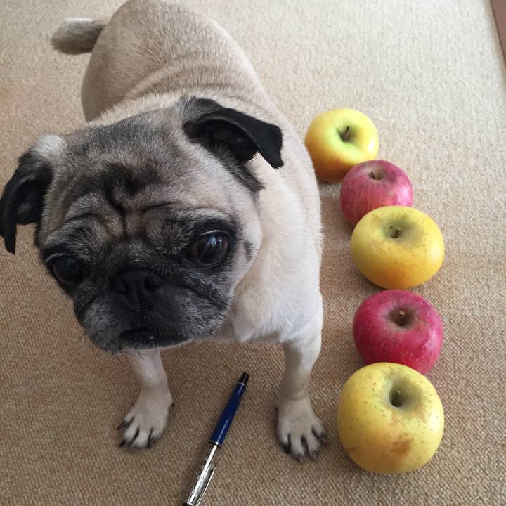 15600655 b3b9 4d61 bcc8 af9075a989b9