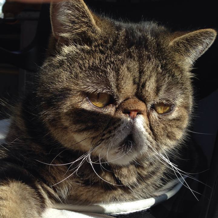 1560306e 5e60 43fb 858b aa28b6d8fd2a