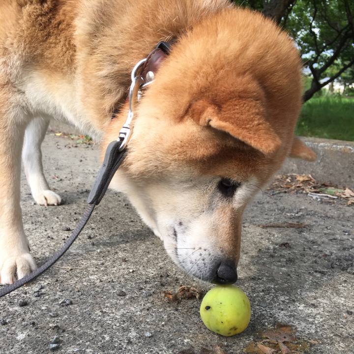 1560cc27 e447 433f 9c1d 765908724322