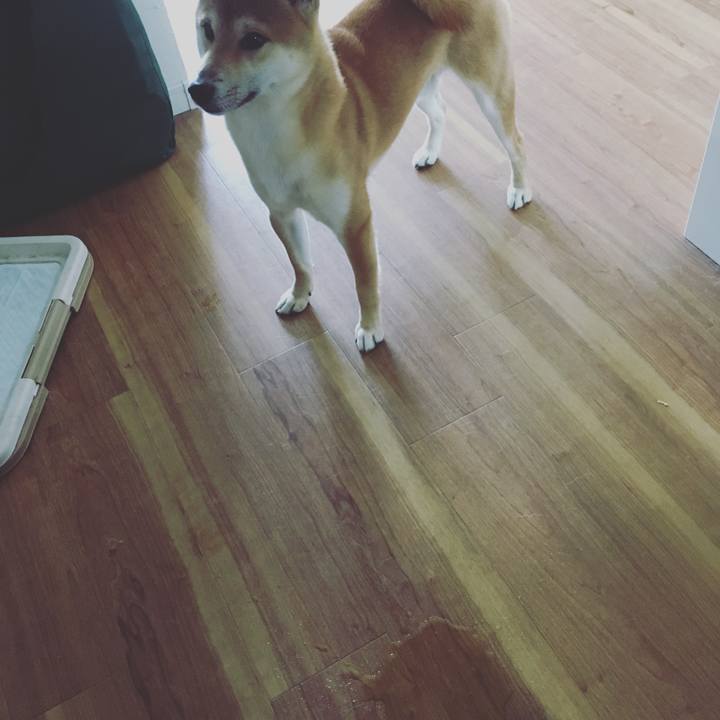 1560dfb2 ee69 4895 8c07 a0a09da130e2