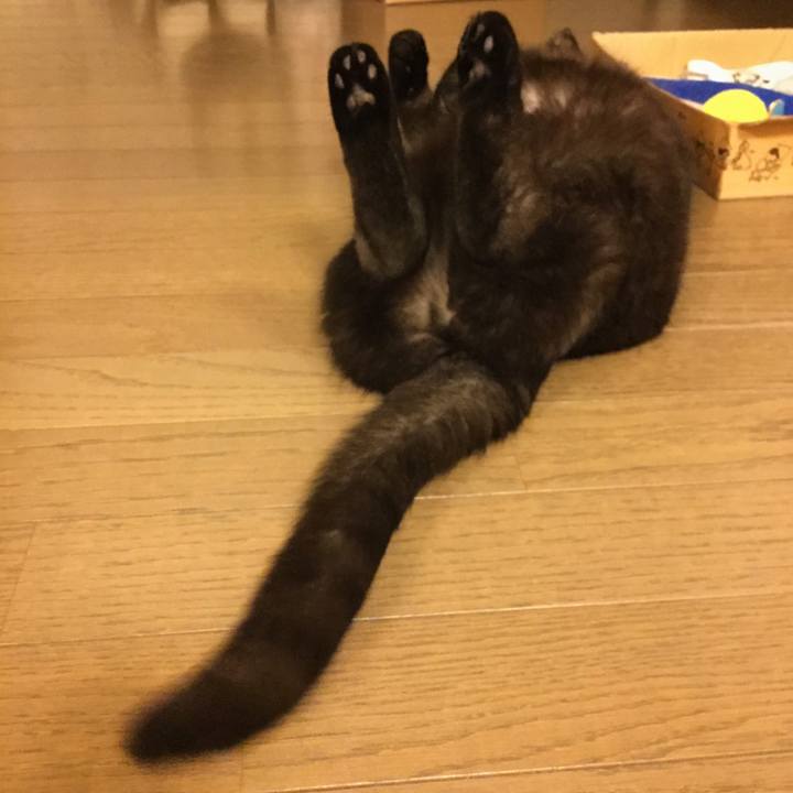 1561b57f c01d 49a6 b3a7 78a768b1e2d9