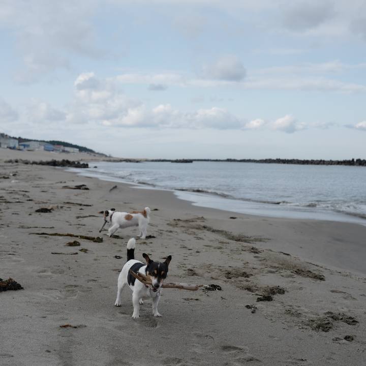 1561cecf fd81 433b a9cc 0c47715f5e87