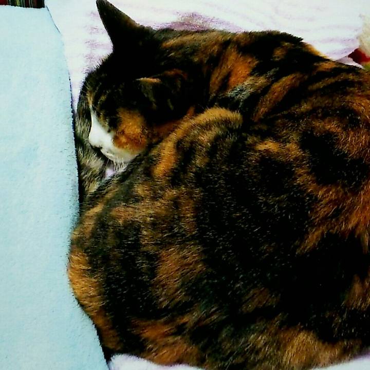 156214dd 3596 4119 a138 1c1af31e00de