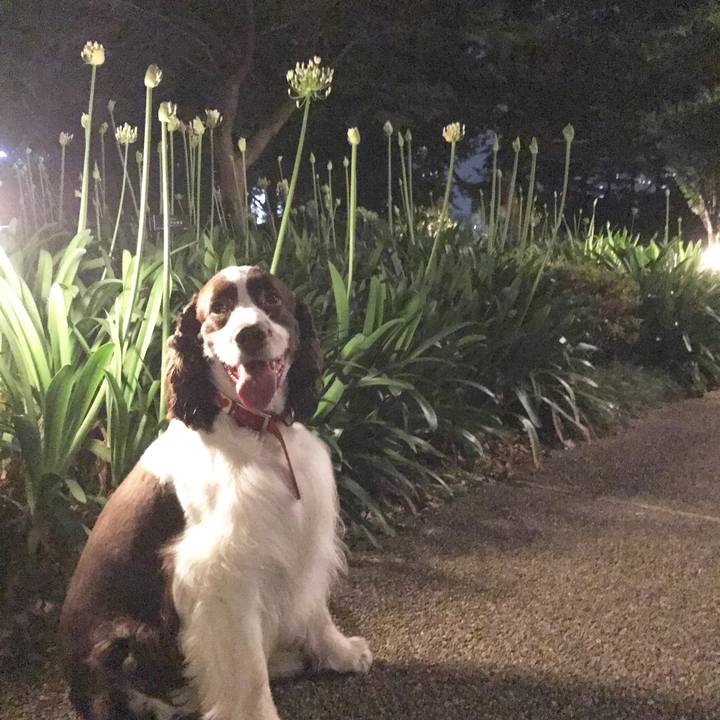 1563bd6e 2cfb 459c 80c5 36a500daa5d7