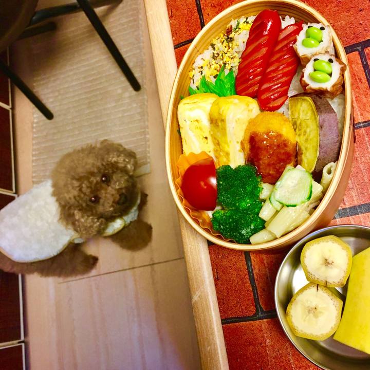 1563d7c8 c3ec 4530 9a12 448f129975b7