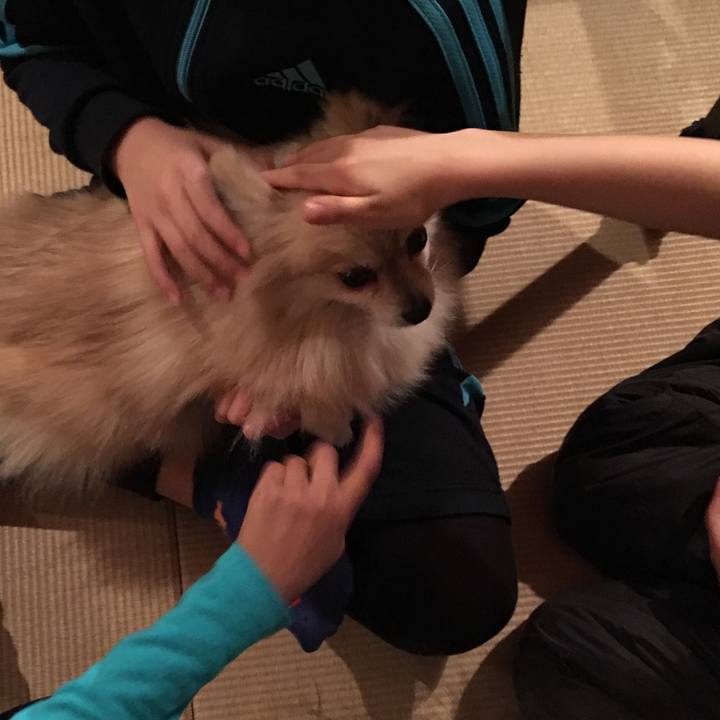 156406c9 5ae4 4fdd ab85 72596d41715d