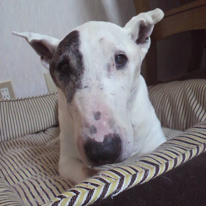 15642c4b 6b3b 4992 883c f0d50bb35e85