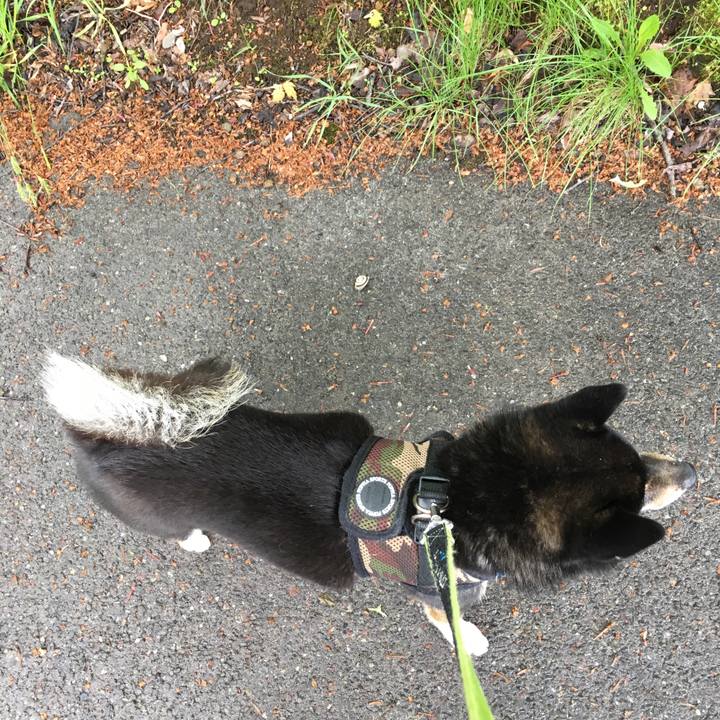 1565722b 5bef 41bd ae15 bd195613645a