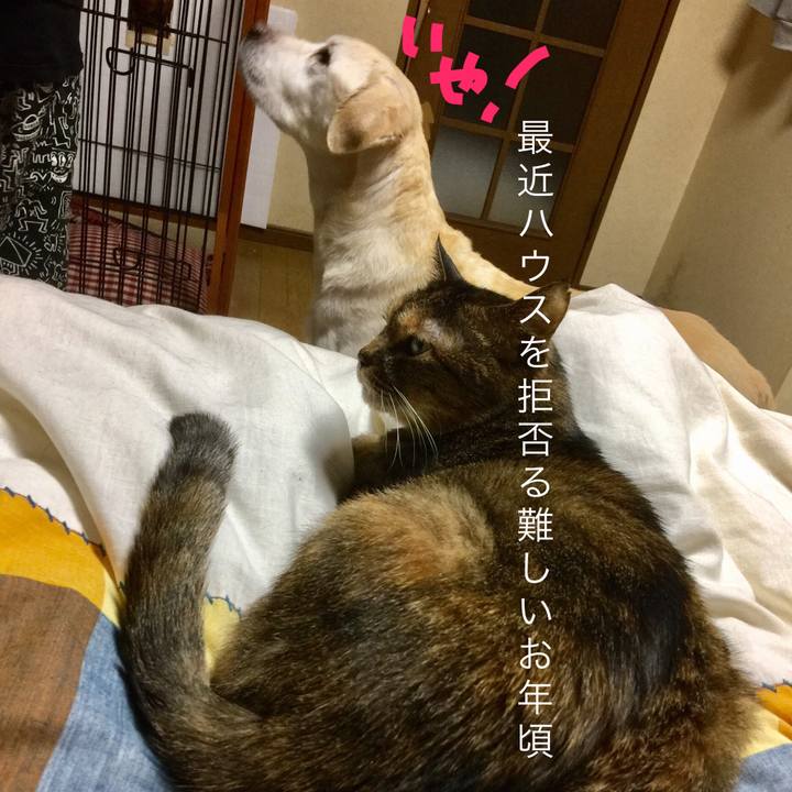 15660cf7 20ff 47fa 9ef0 daaddd986f84