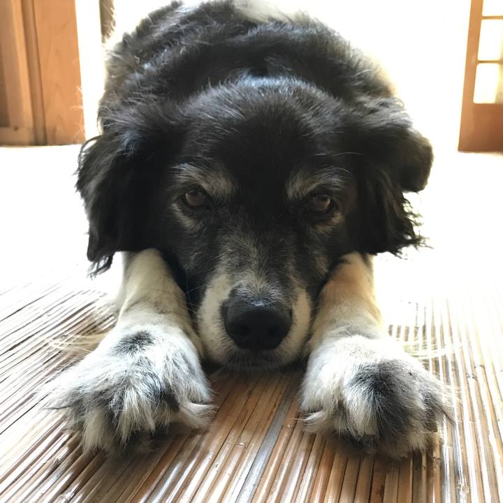 156748de 1c64 4d64 9142 5aa43690be3d