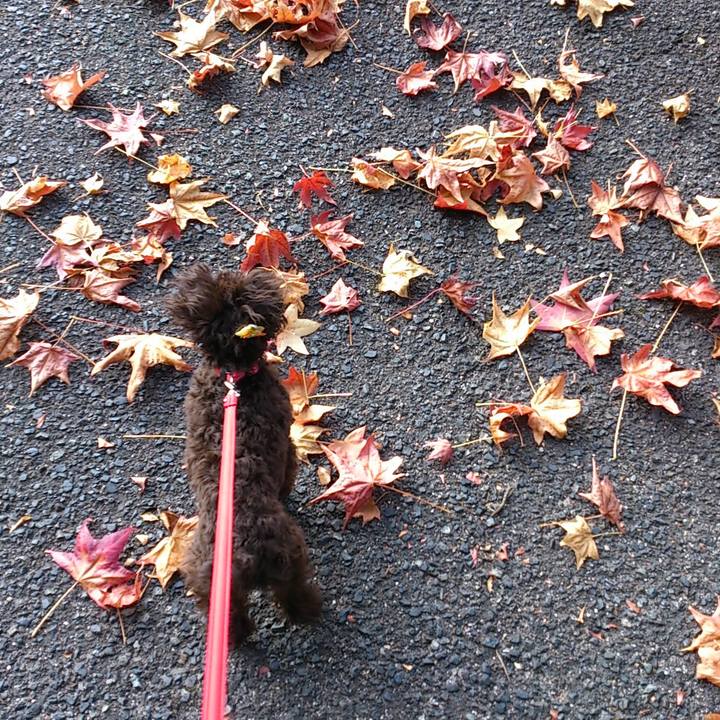 1567b3e2 3fe1 493f 9a41 562db2b1381c