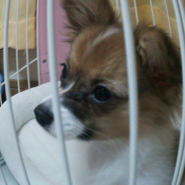 156804c9 6758 48ab b623 4d17bd14ee81