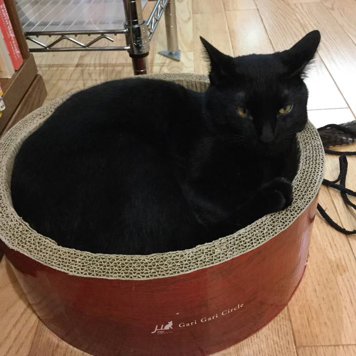 15680b80 b281 4825 b406 3aced009baac