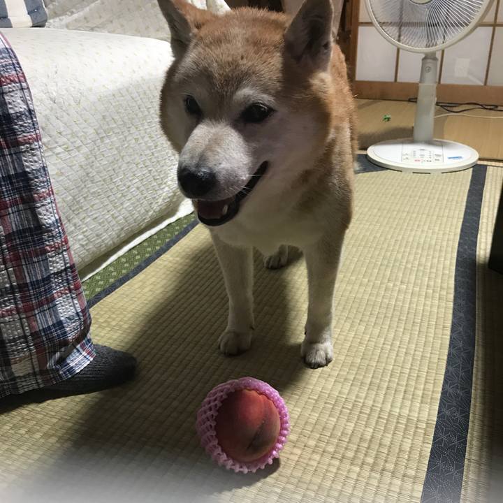 15691577 aa5c 4a72 9078 6a9b8fe5d297