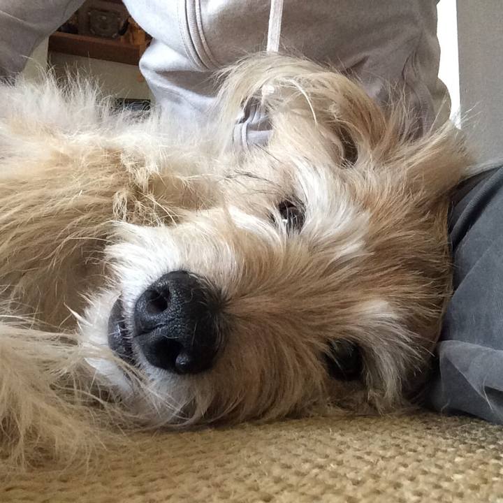 1569e69d caab 480d b9ca ef7a6612f911