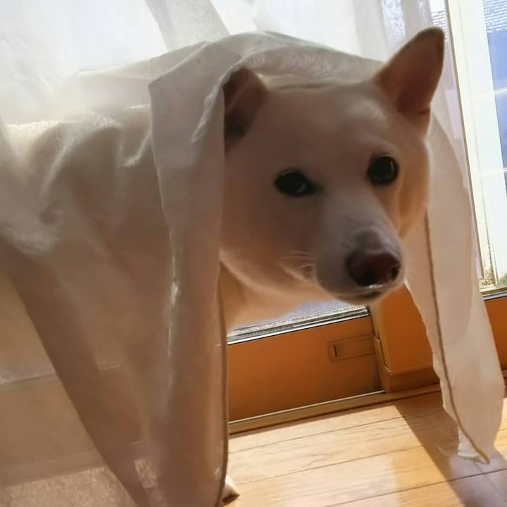 156a81ef c697 4f3f 8ee5 ac5af656f209