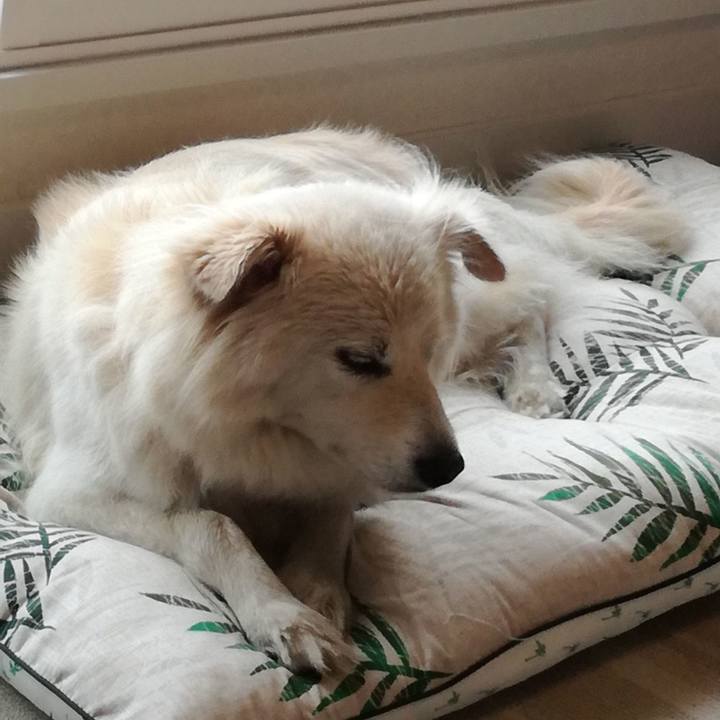 156b3c75 dd66 4937 a3ac 86babf8b9076