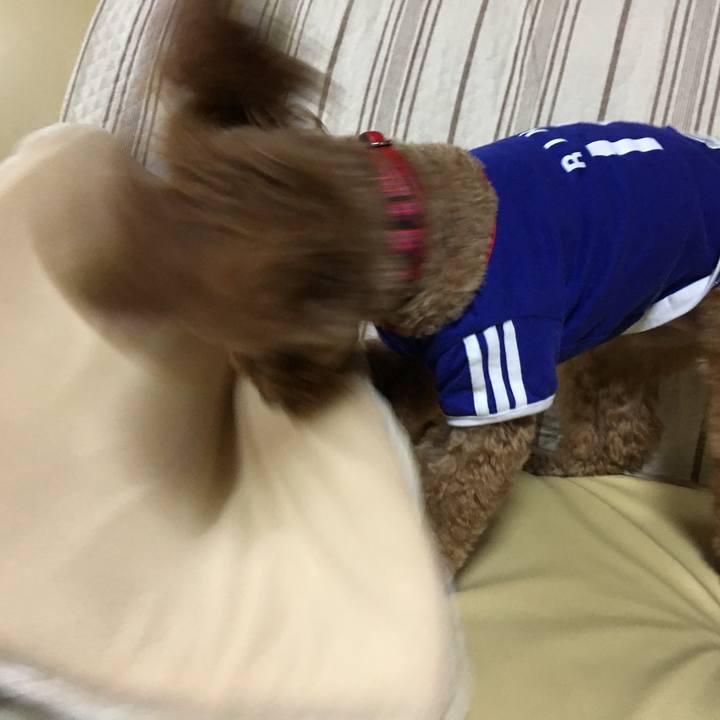 156b63e7 494a 44f1 a10d 934bf2aff722