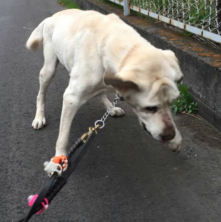 156c3bb5 ec95 46b0 9c71 46fb1a894046