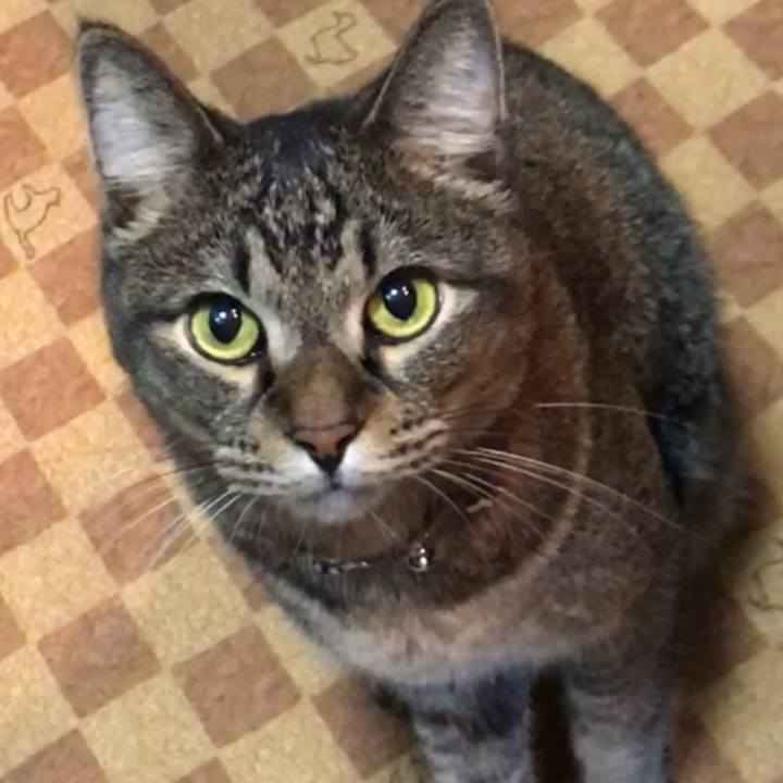 156c49f9 a513 451f b33f 48e911e36301