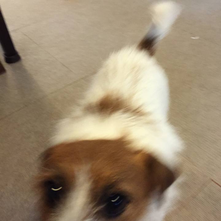 156c6450 6b72 4393 a9a0 e19985852f21