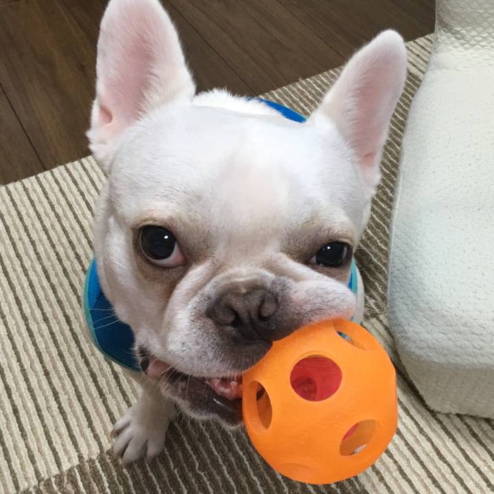 156d2cf3 9da7 468d a23f 312da9f132c0