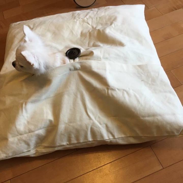 156d644f 8c0f 404d 84c7 bc491b39702d