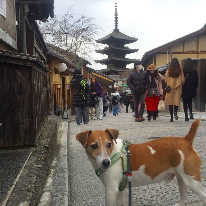 156fa10c b11a 4bfb a9f0 f49ff68b7603